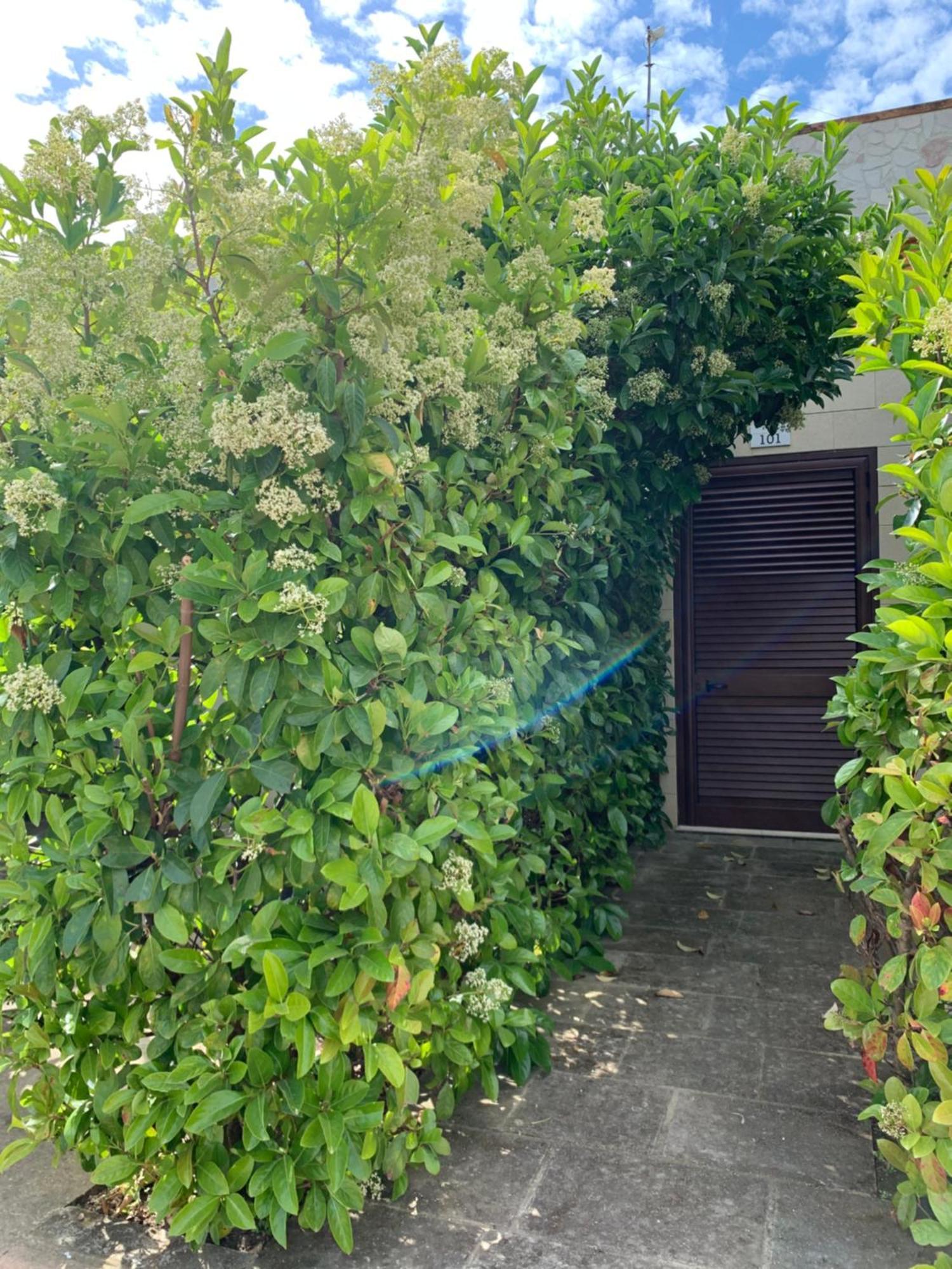 Agriturismo Tenuta Don Giovanni Melendugno Buitenkant foto